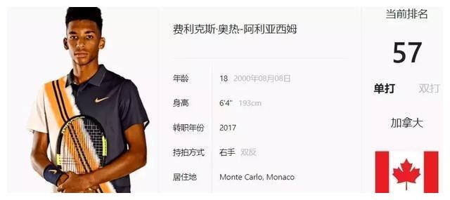 以其绚丽的